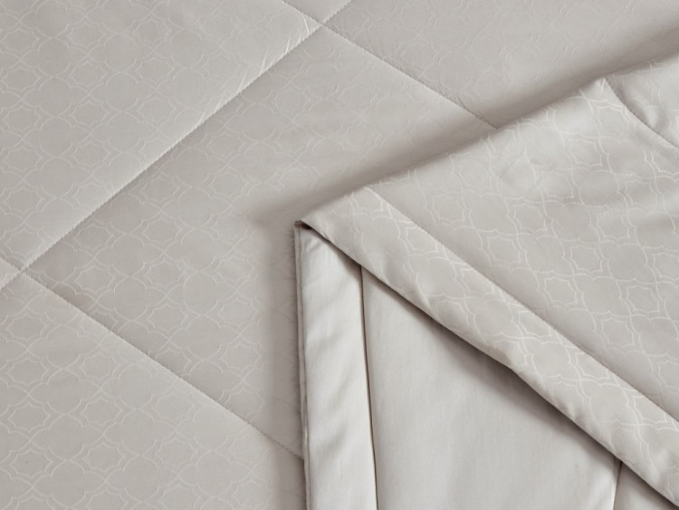 Постельное белье с летним одеялом из египетского хлопка Premium ASABELLA 1885-OSP 50х70 (2шт) семейное