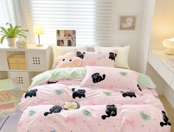 Постельное белье из твил-сатина в ПВХ TANGO хеппи рози  50х70 (2шт) евро