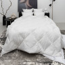 Одеяло стеганое GERMAN GRASS PRIME DOWN GRASS 150х200 всесезонное