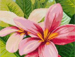 Кристальная (алмазная) мозаика ФРЕЯ ALVR-239 Цветы франжипани