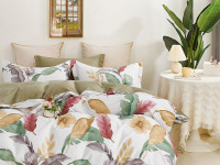 Постельное белье из твил-сатина TANGO драмио 70х70 (2шт) 2-спальное