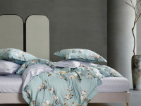 Постельное белье из тенсела ASABELLA 2018-6 50х70 (2шт) и 70х70 (2шт) евро