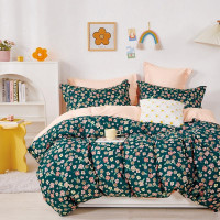 Постельное белье из твила TANGO TPIG-1840 50х70 (2шт), 70х70 (2шт) евро