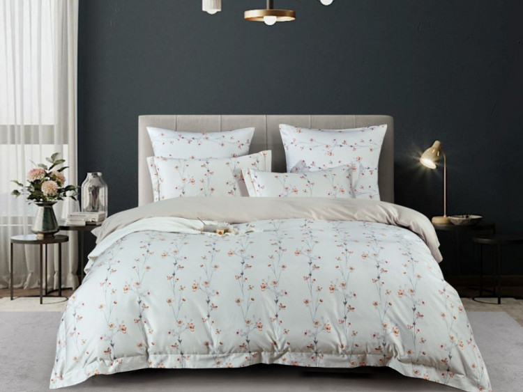 Постельное белье из египетского хлопка Premium ASABELLA 2119-6 50х70 (2шт) и 70х70 (2шт) евро