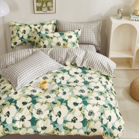 Постельное белье из твила TANGO TPIG-1838 50х70 (2шт), 70х70 (2шт) евро