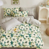 Постельное белье из твила TANGO TPIG-1838 50х70 (2шт), 70х70 (2шт) евро
