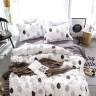 Постельное белье из микросатина TANGO DREAM FLY DF-279-70 70х70 (2шт) семейное