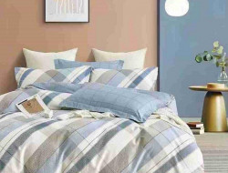 Постельное белье из сатина АЛЬВИТЕК CA-7-740 50х70 (2шт), 70х70 (2шт) семейное