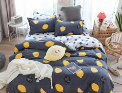 Постельное белье из микросатина TANGO DREAM FLY DF-83-50 50х70 (2шт) 2-спальное