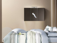 Постельное белье из тенсела ASABELLA 2122-6 50х70 (2шт) и 70х70 (2шт) евро