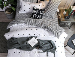 Постельное белье из микросатина TANGO DREAM FLY DF-114-70 70х70 (2шт) 2-спальное