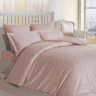 Постельное белье из хлопкового жаккарда KARVEN N301 DAMASK POWDER 50х70 (2шт), 70х70 (2шт) евро