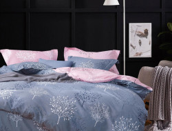 Постельное белье из твил-сатина TANGO броуси 50х70 (1шт), 70х70 (1шт) 1,5-спальное