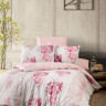 Постельное белье из ранфорса KARVEN N023 RINA 50х70 (2шт), 70х70 (2шт) евро