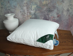 Подушка с бортиком из силиконизированного волокна ANNA FLAUM FITNESS KOLLEKTION 60х60 средняя