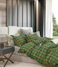 Постельное белье из твила в ПВХ TANGO TPIG-1795 50х70 (2шт) евро