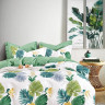 Постельное белье двухстороннее из твила в ПВХ TANGO ферна 50х70 (2шт) евро