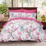 Постельное белье из сатина печатного САЙЛИД B-184 1,5-спальное