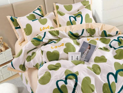 Постельное белье фланелевое TANGO MOMAE200 50х70 (2шт) евро