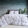 Подушка классическая с кантом GERMAN GRASS GRAY FAMILIE DOWN 50х68 мягкая