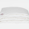 Одеяло GERMAN GRASS ALLIANCE DOWN Light and CASHMERE GRASS двойное 200х220