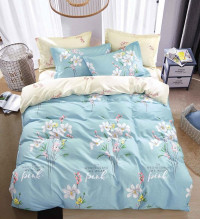 Постельное белье двухстороннее из твила TANGO TPIG2-1296-50 50х70 (2шт) 2-спальное