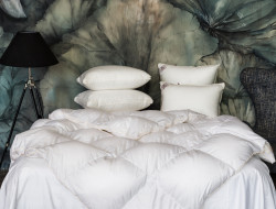 Одеяло кассетное GERMAN GRASS QUEEN DOWN GRASS 220х240 теплое