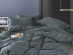 Постельное белье из сатина TANGO NOVELLA TS04-X237 50х70 (2шт), 70х70 (2шт) евро