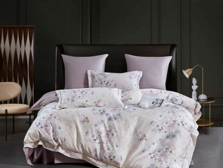 Постельное белье из египетского хлопка ASABELLA 2149-6 50х70 (2шт) и 70х70 (2шт) евро