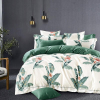 Постельное белье из египетского хлопка TANGO TIS-237 50х70 (1шт), 70х70 (1шт) 1,5-спальное