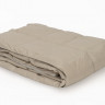 Дорожный плед пуховый GERMAN GRASS TRAVEL PLAID GRASS grey-beige 140х200