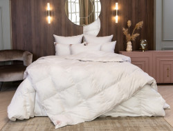 Одеяло пуховое кассетное GERMAN GRASS SILVER DOWN GRASS всесезонное Light 240х220