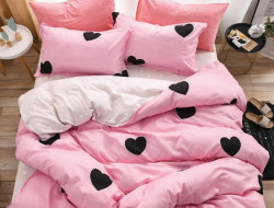 Постельное белье из микросатина TANGO DREAM FLY DF-296-50 50х70 (2шт) семейное