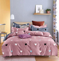 Постельное белье из микросатина TANGO DF-463-50 DREAM FLY 50х70 (2шт) семейное