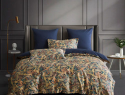 Постельное белье из египетского хлопка Premium ASABELLA 2054-6 50х70 (2шт) и 70х70 (2шт) евро