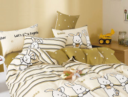 Постельное белье из твил-сатина TANGO вместе 50х70 (2шт) 2-спальное