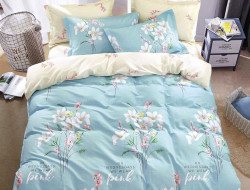 Постельное белье двухстороннее из твила TANGO TPIG5-1296 50х70 (2шт) семейное