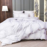 Одеяло кассетное GERMAN GRASS WHITE FAMILIE DOWN 200х220 всесезонное