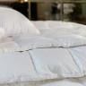 Одеяло кассетное GERMAN GRASS WHITE FAMILIE DOWN 240х260 всесезонное