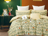 Постельное белье из сатина ASABELLA 1978-6 50х70 (2шт) и 70х70 (2шт) евро