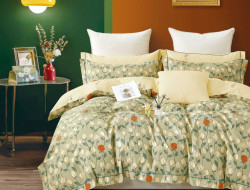 Постельное белье из сатина ASABELLA 1978-6 50х70 (2шт) и 70х70 (2шт) евро