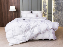 Одеяло кассетное GERMAN GRASS WHITE FAMILIE DOWN 220х240 всесезонное