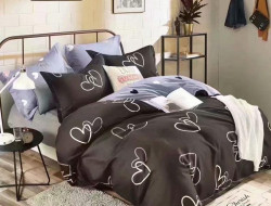 Постельное белье из микросатина TANGO DREAM FLY DF-422-70 70х70 (2шт) семейное