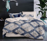 Постельное белье из сатина АЛЬВИТЕК CA-6-685 50х70 (2шт), 70х70 (2шт) евро