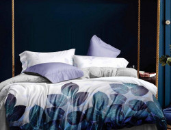 Постельное белье из микросатина TANGO DREAM FLY DF-347 50х70 (2шт) евро