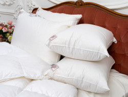 Подушка GERMAN GRASS SKY DOWN GRASS 50х68 мягкая