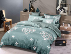 Постельное белье из микросатина TANGO DREAM FLY DF-476 50х70 (2шт) евро