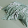 Постельное белье из тенсела люкс ASABELLA Мятная прохлада 50х70 (2шт) и 70х70 (2шт) евро