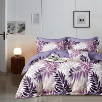 Постельное белье из сатина АЛЬВИТЕК CA-7-723 50х70 (2шт), 70х70 (2шт) семейное