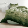 Постельное белье из микросатина TANGO градиент зеленый 50х70 (1шт), 70х70 (1шт) 1,5-спальное